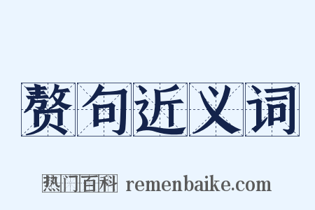 赘句近义词是什么意思的图片